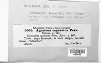 Image Associated With the Occurence